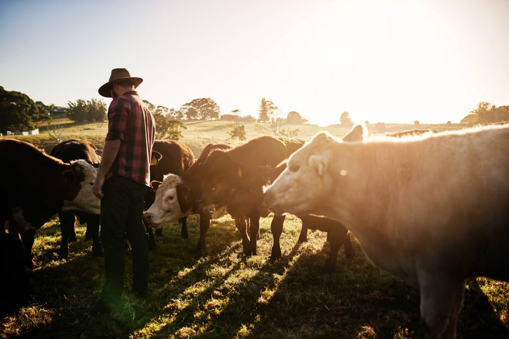 como ganhar dinheiro na fazenda