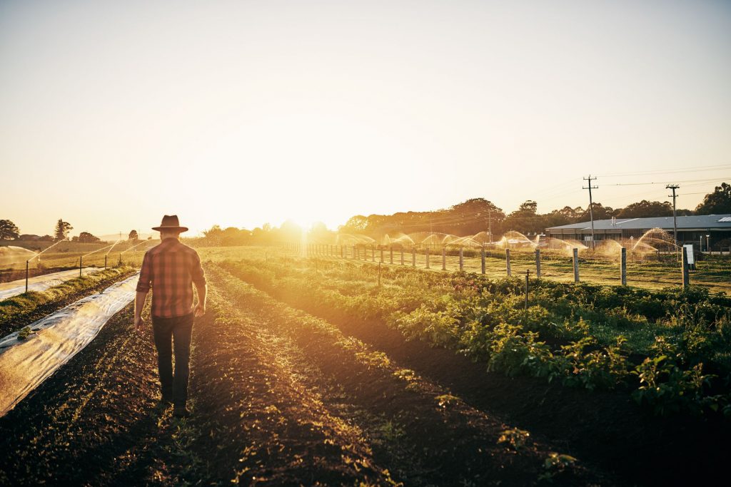 como montar uma fazenda