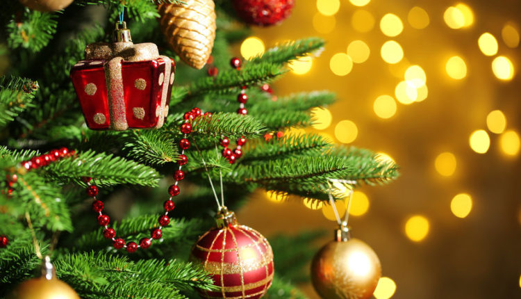 5 maiores curiosidades sobre o Natal: confira no blog da 7MBoots