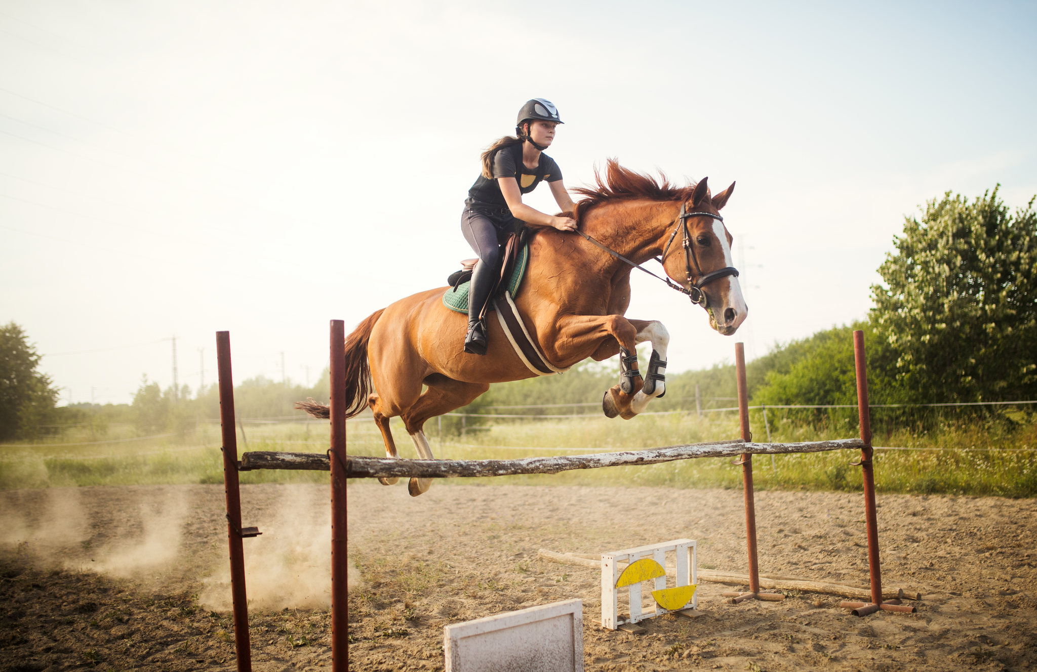 Cavalo Saltando