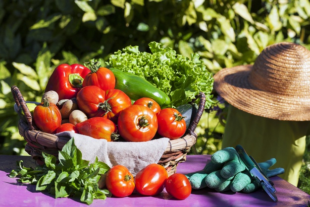 5 dicas para decolar a sua produção agrícola em 2021!