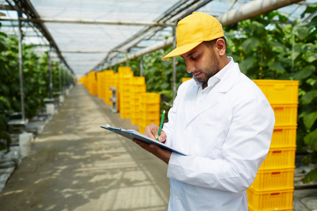 5 profissões para quem ama o agronegócio