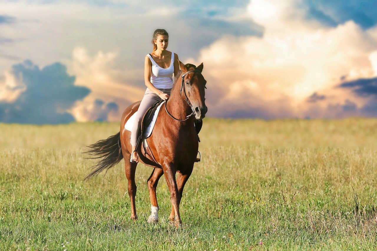 5 benefícios de andar a cavalo