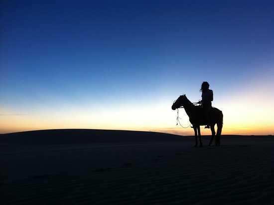 Cavalgada ao pôr do sol em um cenário country, retratando a beleza da natureza e a conexão com os cavalos.