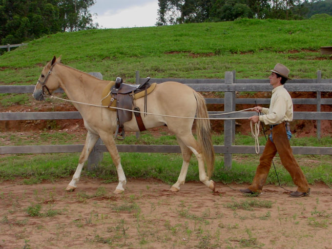 Cavalo sendo treinado com técnicas de doma no campo.