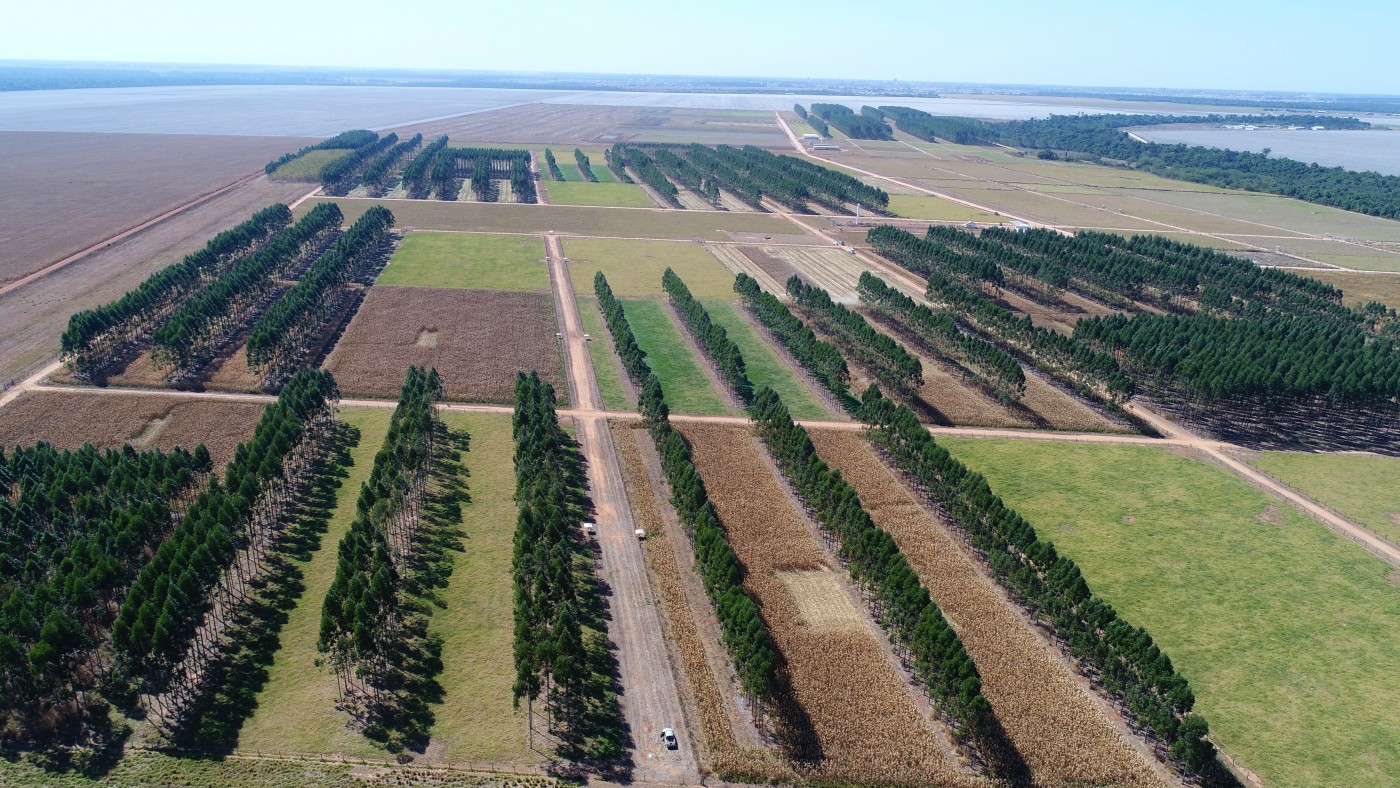 Agropecuária sustentável com foco na preservação ambiental em uma paisagem rural country.