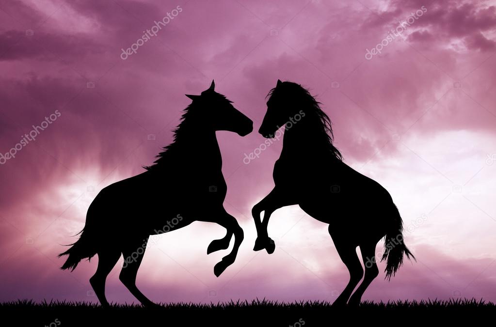 Um grupo de pessoas interagindo carinhosamente com seus cavalos em um ambiente rural. A cena retrata a profunda conexão entre humanos e equinos, digna de um verdadeiro amor country.