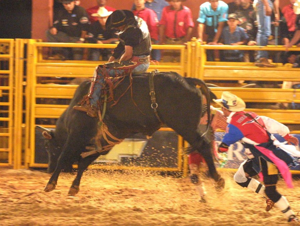 Peão de Boiadeiro durante uma competição na Festa do Peão de Boiadeiro