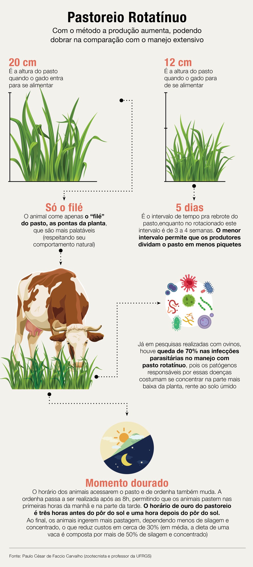 Técnicas de pastoreio rotativo em uma fazenda country
