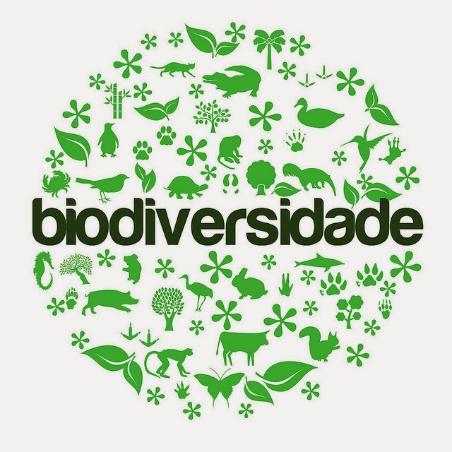 Cenas da natureza exuberante incluindo fauna e flora, representando a biodiversidade.