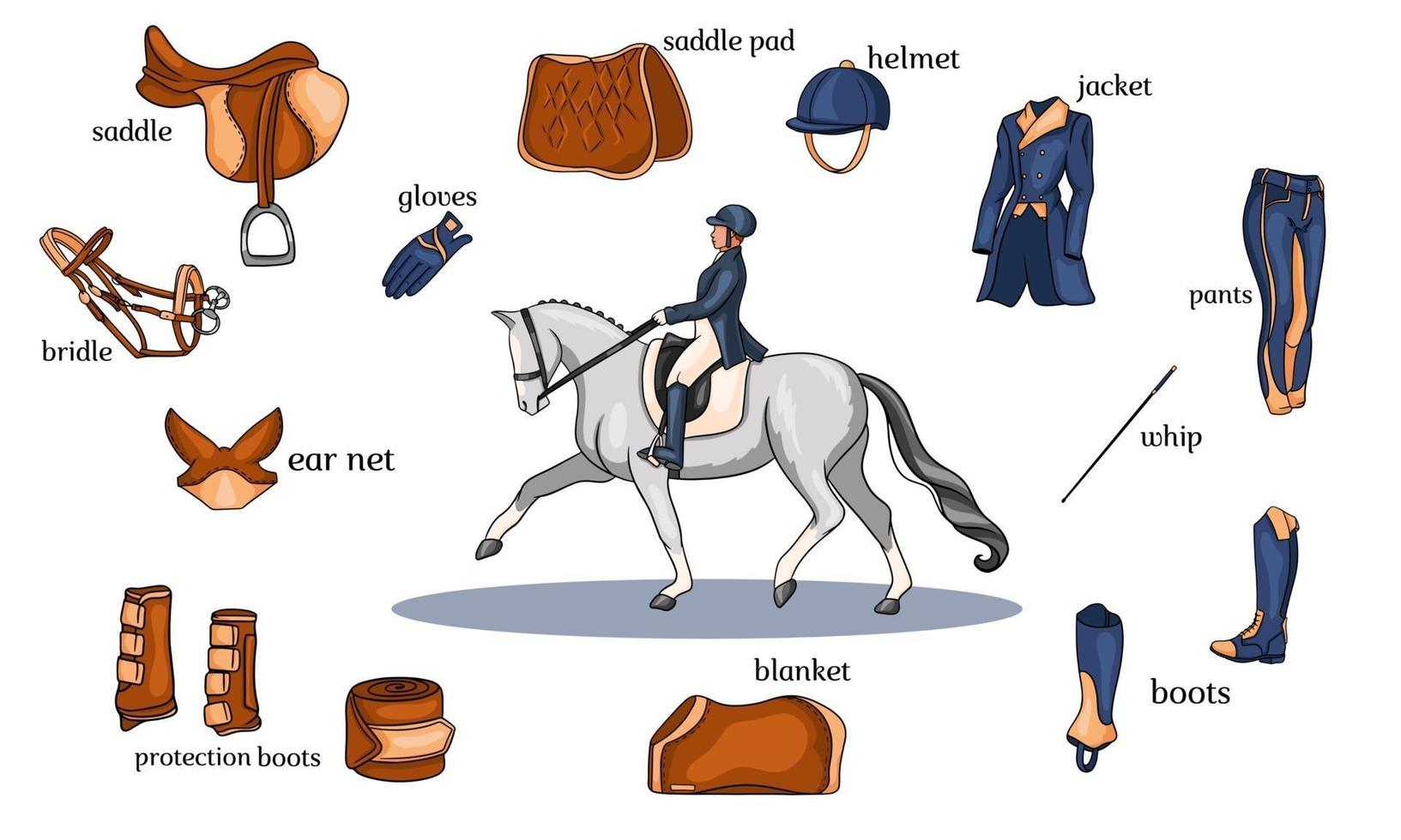 Cavaleiro em um cavalo com equipamentos equestres em estilo cartoon