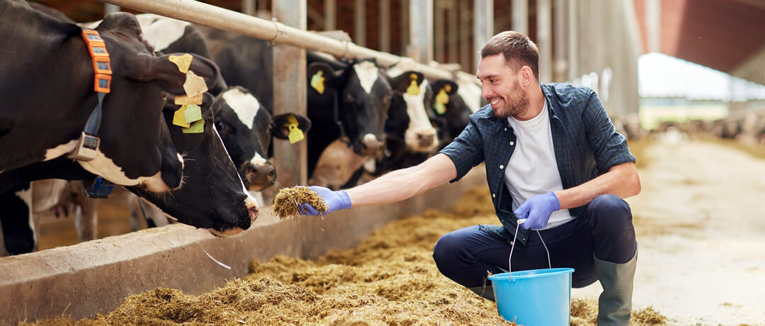 Fazenda tradicionais com animais pastando e paisagem rural ao fundo