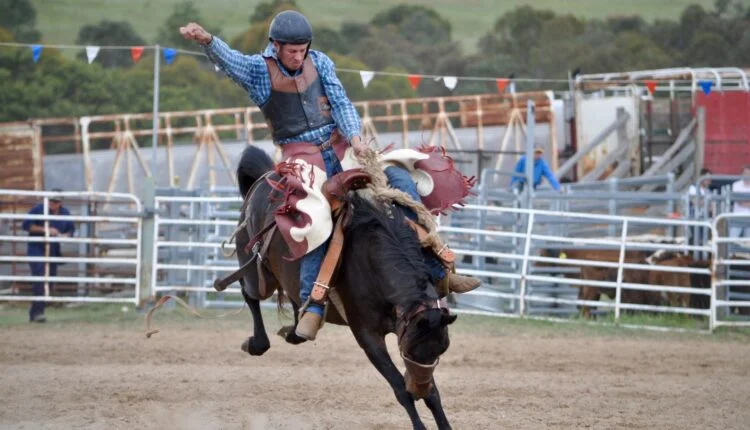 Montaria em Cavalos - Dicas para Iniciantes e Entusiastas