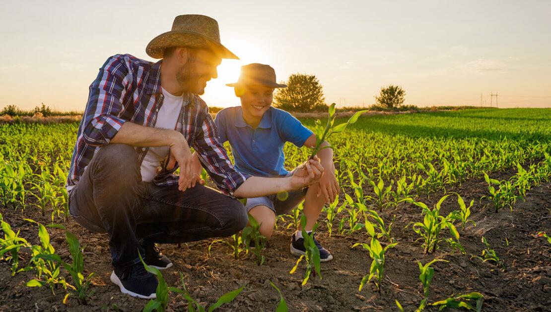 Técnico em agricultura utilizando técnicas de agropecuária sustentáveis em um campo country.