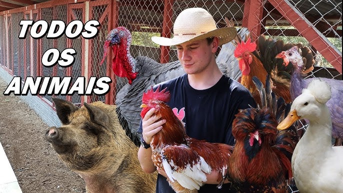 Uma fazenda com pastagens verdes e animais como vacas, cavalos e ovelhas, representando a criação de animais no rancho LW.