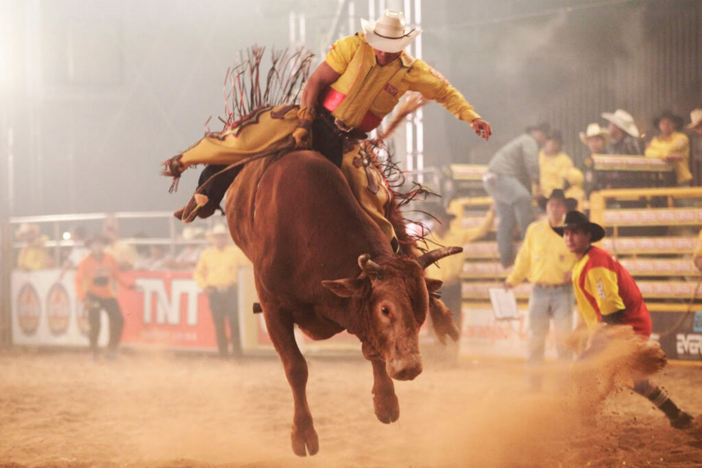 Um cowboy montando um touro em um rodeio brasileiro