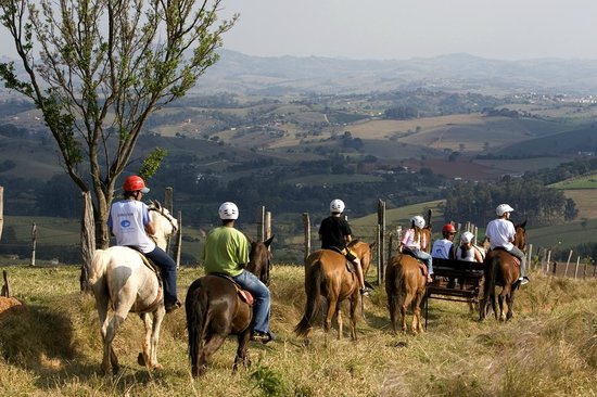 Atividades de Lazer no Campo com vista para a natureza