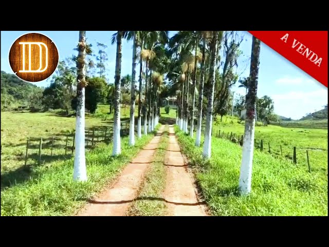 Natureza exuberante no Vale do Ribeira com fazendas típicas da região
