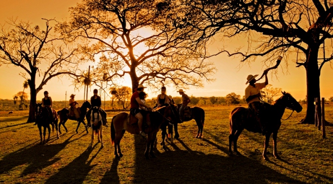 Cavalgada no campo com cavaleiros em meio à natureza