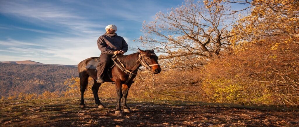 Cavalo trotando por trilhos na natureza, simbolizando a aventura e a beleza do mundo equestre.
