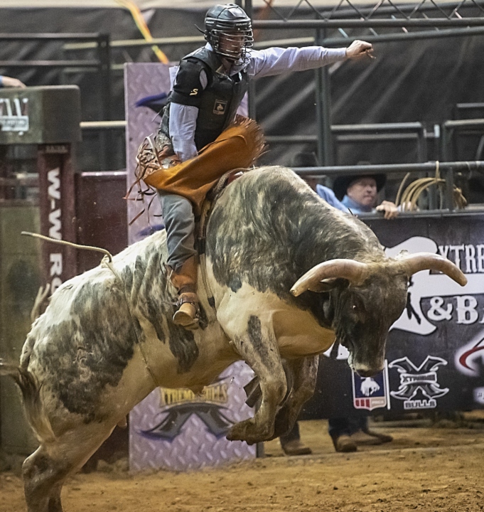 Montaria em touros em um rodeio country, capturando a emoção e a adrenalina do evento.