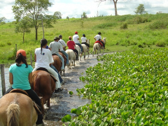 Imagem de um cenário rural com uma paisagem deslumbrante, refletindo a essência do turismo no campo.