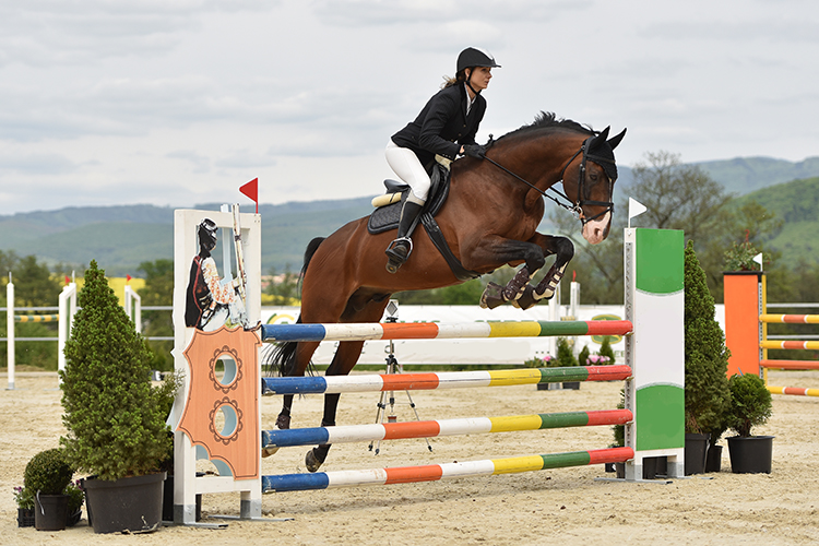 Cavalos de competição em uma arena