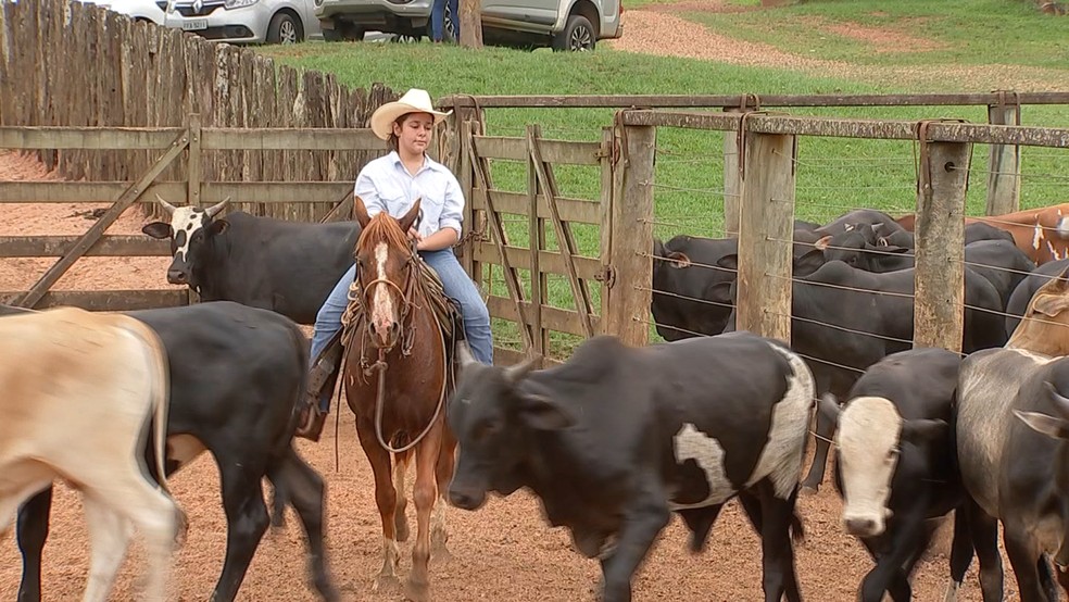 Crianças vivendo a vida rural com alegria e paixão.