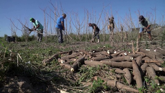 Um grupo de pessoas vestindo roupas típicas de fazenda, celebrando as tradições do campo em um evento ao ar livre.