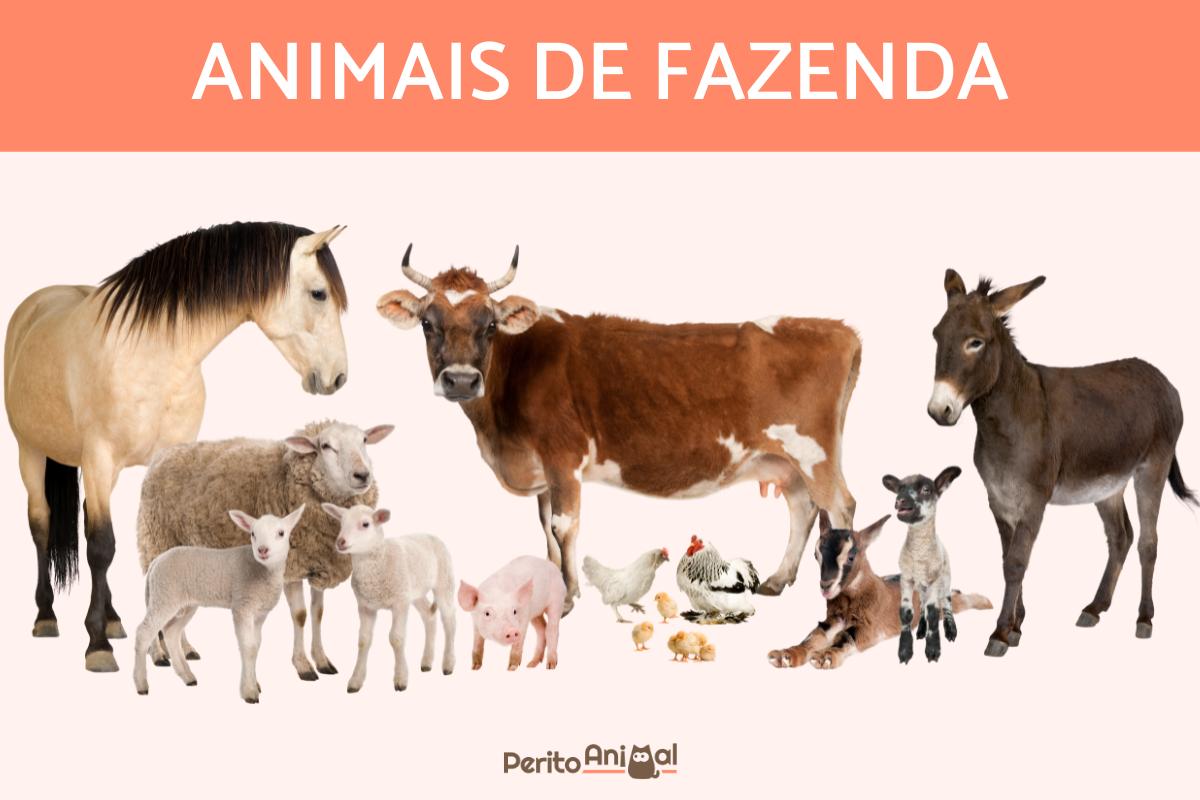 Animais de fazenda em uma paisagem rural, incluindo vacas, galinhas e ovelhas.