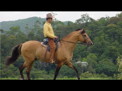 Cavaleiro montando em um cavalo em um cenário rural