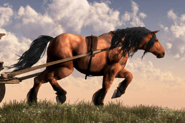 Cavalos trabalhando no campo sob um céu azul, simbolizando a força e a tradição rural.