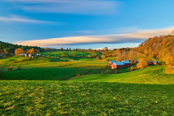 Cenário rural com pastagens verdes e um céu azul claro