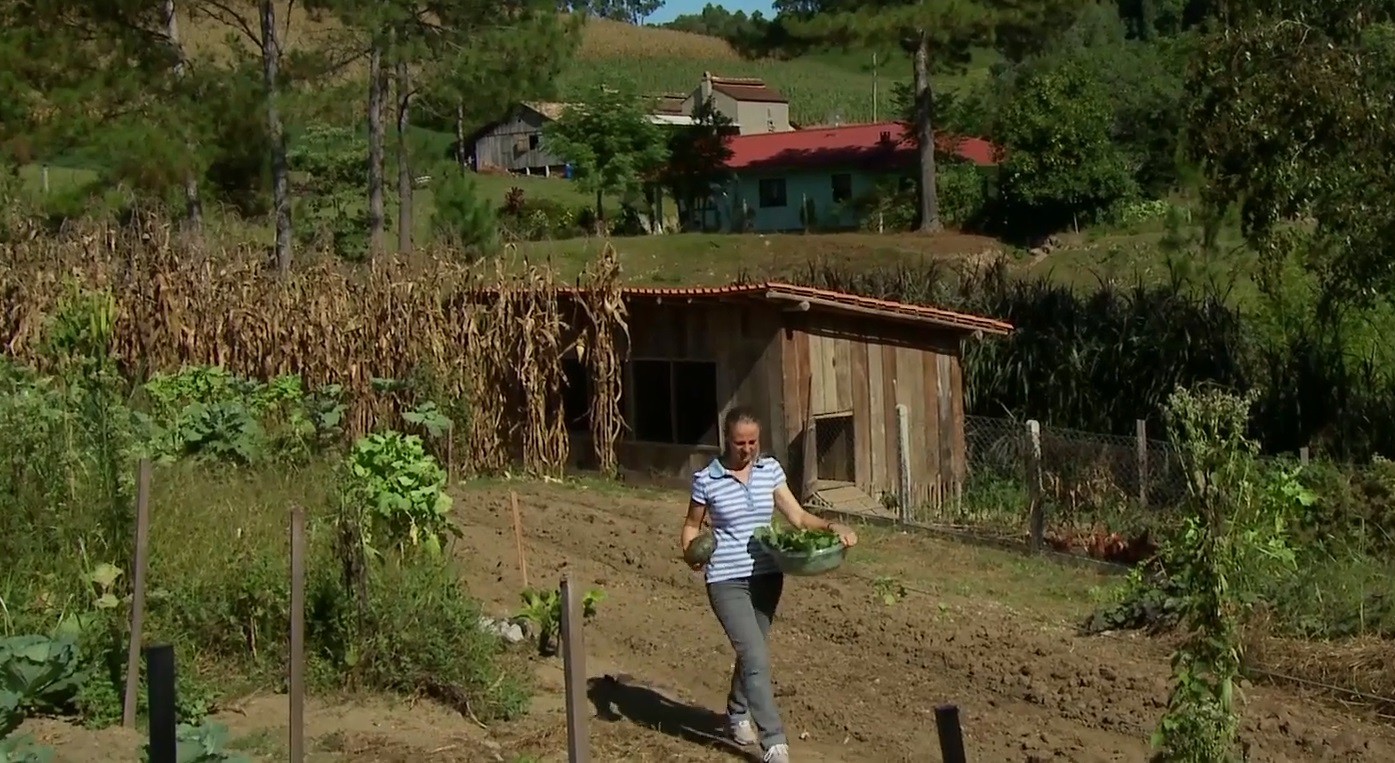 Um cowboy dirigindo um cavalo em um campo aberto com montanhas ao fundo, simbolizando a conexão com a natureza e o estilo de vida rural.