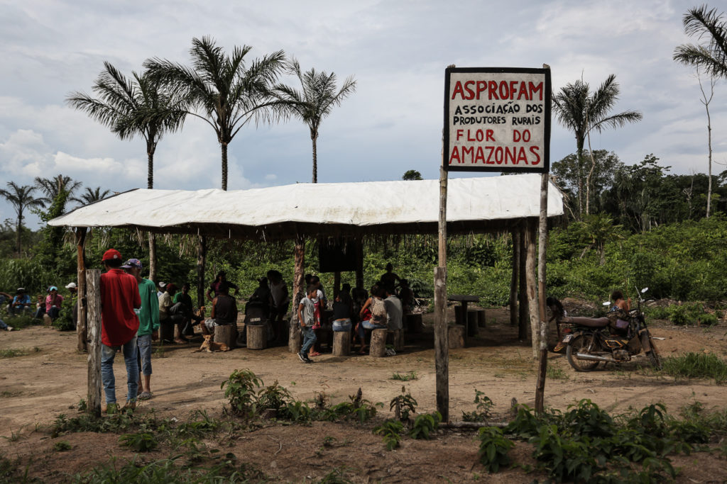 Famílias acampando em meio à natureza na Amazônia, rodeadas por árvores e paisagens rústicas.