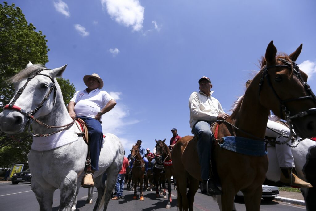 Vaquejada: a tradição e a paixão do povo country brasileiro