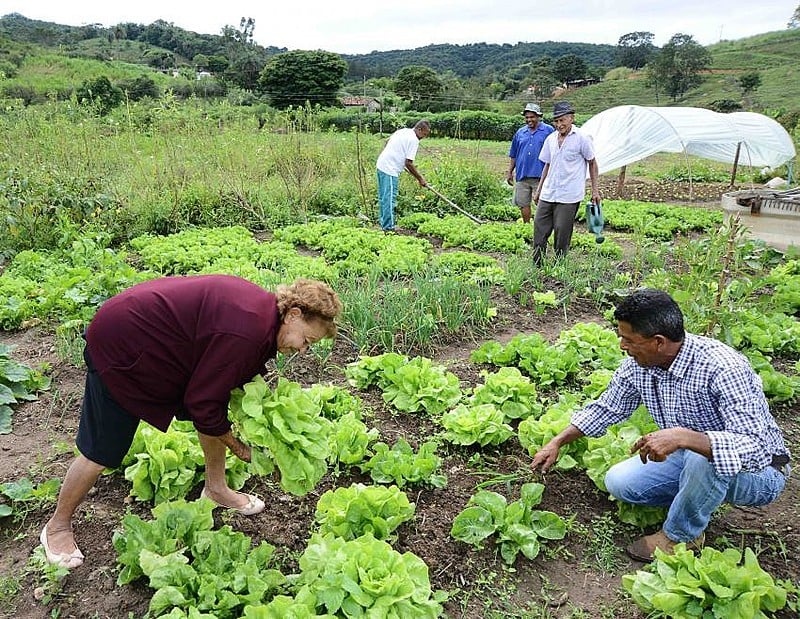 Tratores e campos agrícolas representando a agroecologia e práticas sustentáveis no campo.
