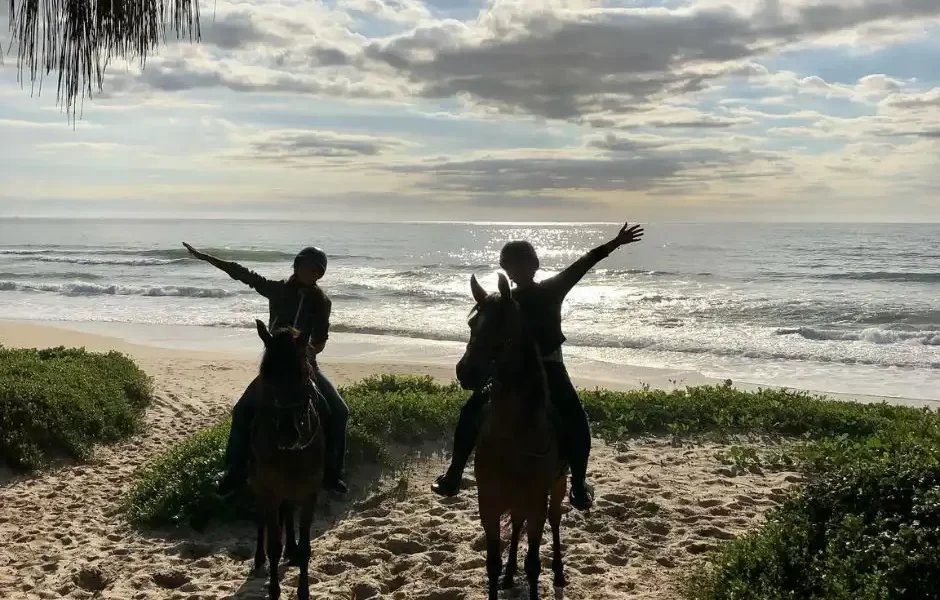 Cavaleiro montando um cavalo em uma trilha rodeada pela natureza exuberante