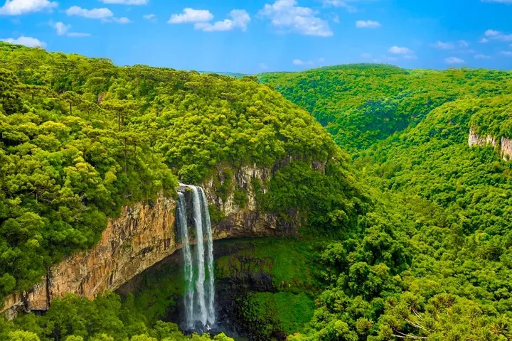 Um casal em uma trilha na natureza, admirando a paisagem e a vida selvagem ao seu redor, demonstrando a conexão entre ecoturismo e preservação ambiental.