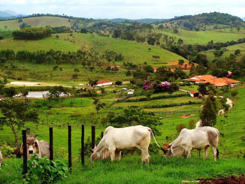 Fazenda rural com vastas extensões de terras e uma bela paisagem campestre.
