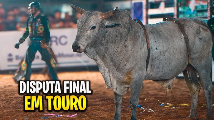 Imagem emocionante do rodeio em Caceres-MT durante a final de montaria em touros.