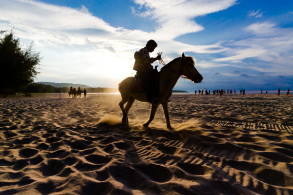 Um cavalo majestoso em um passeio ao entardecer na Praia do Rosa, simbolizando a conexão entre natureza e aventura.