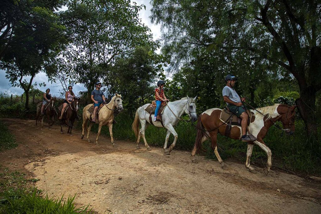 Participantes desfrutando de uma cavalgada na Fazenda Parque dos Sonhos, rodeados pela natureza.