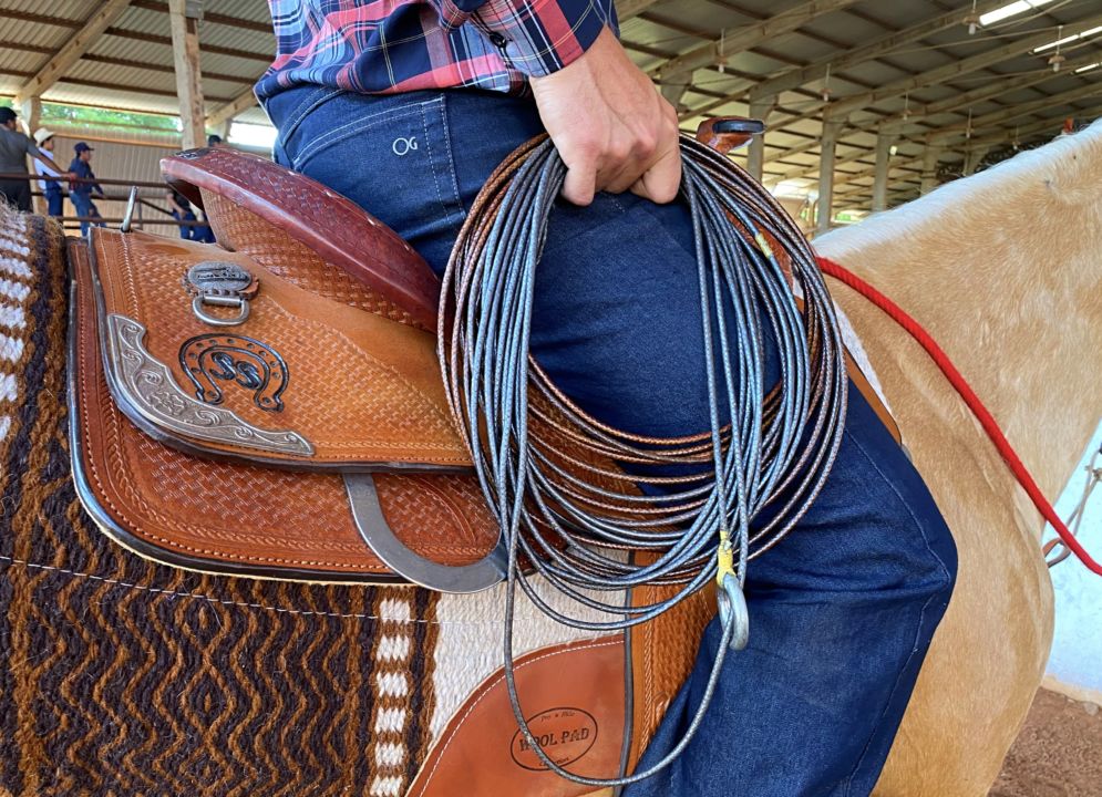 Competições de Laço em Rodeios, representando a tradição e emoção do estilo de vida country.