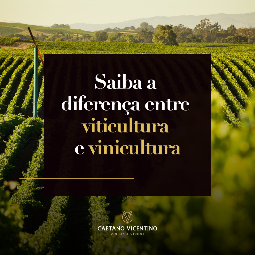 Uma bela vinícola cercada por vinhedos exuberantes ao pôr do sol, simbolizando a cultura do vinho.
