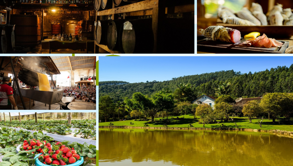 Rural Landscape in Espírito Santo with traditional country houses and lush green fields