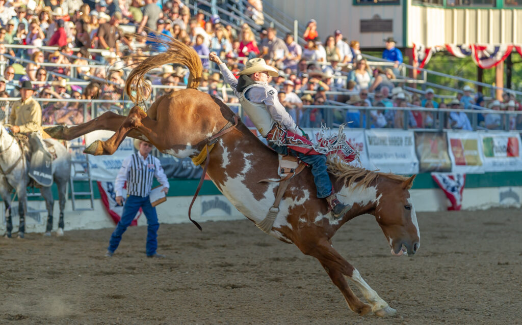 Competição equestre em um rodeio country com cavaleiros montando suas montarias.