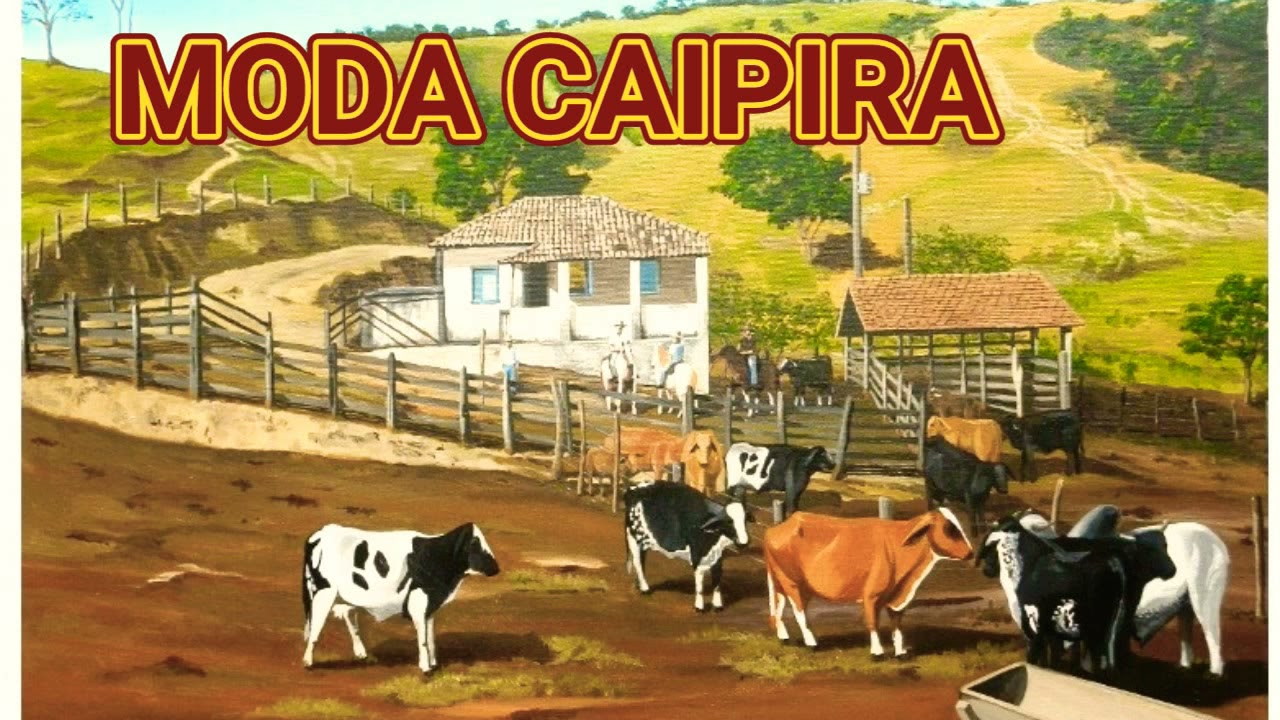 Moda Caipira com Estilo Sertanejo Raiz
