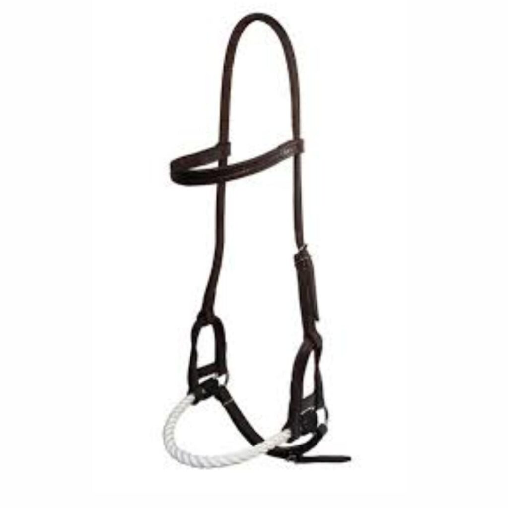 Cabeçada tipo professora para doma de cavalos feita em couro, ideal para treinamento e manejo.