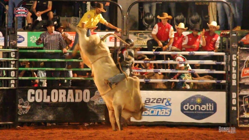 Montaria em bois em um rodeio country, destacando competidores e o espírito do evento.